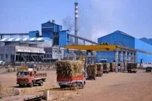 Biomass energy plant with material handling system and transport vehicle